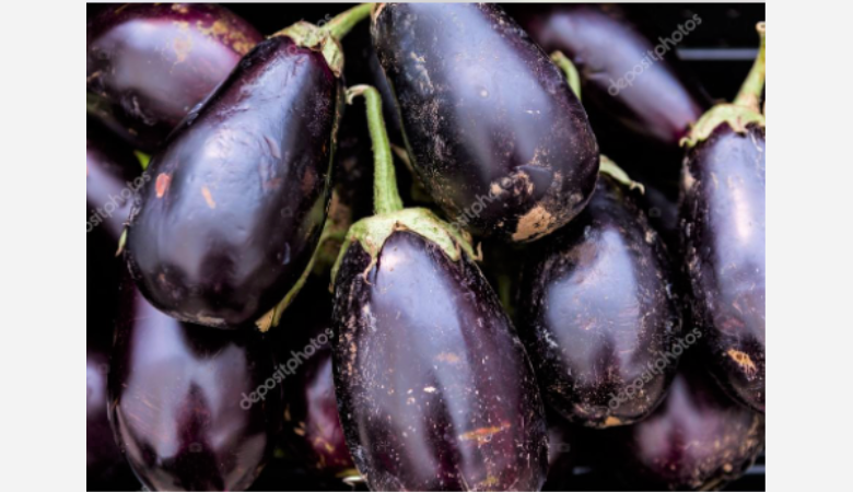 brinjal masala veg