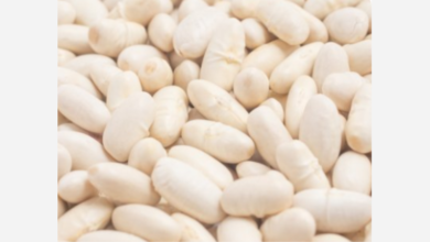 white beans masala