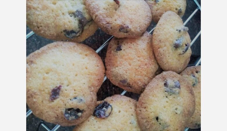 dried-cranberry-oatmeal-cookies