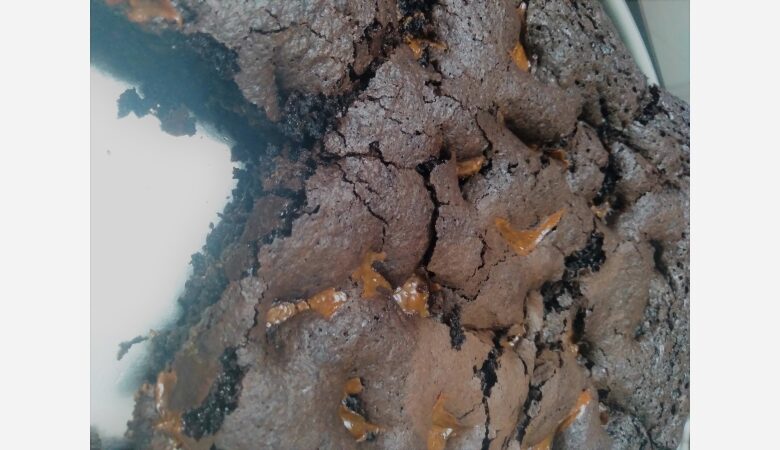salted-caramel-chocolate-brownie