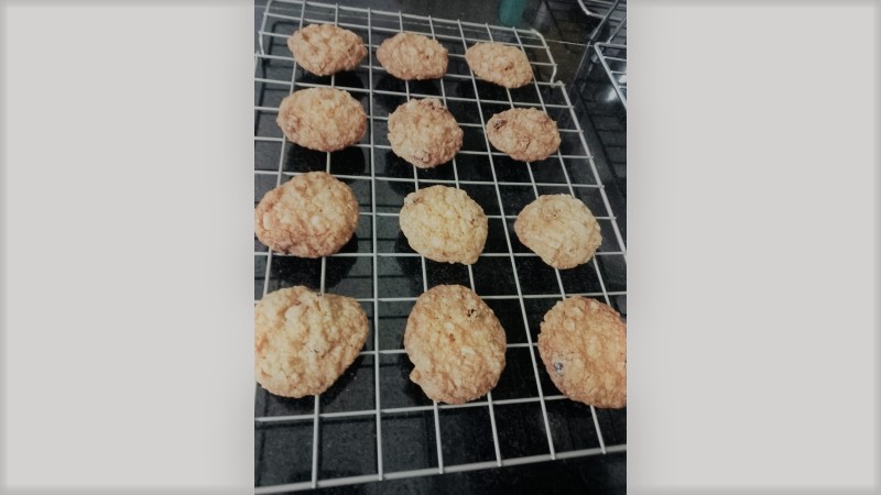 oatmeal cranberry cookies