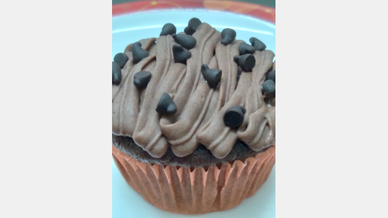 double chocolate muffin